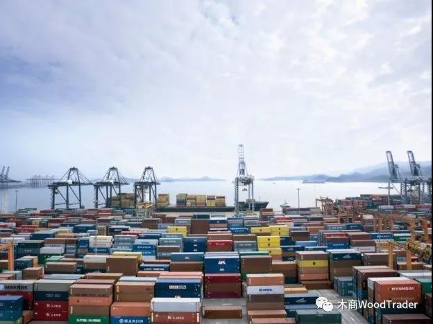 太倉港木材進口量創(chuàng)歷史性記錄！(圖1)